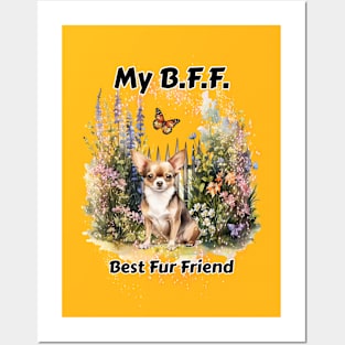 Dog - B.F.F. Chihuahua Posters and Art